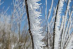 1_hoar-frost-on-branch-at-lakeshore