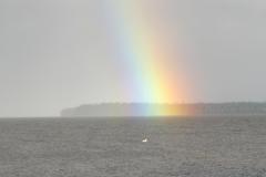 rainbow-over-punk-island