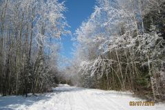 view-from-beach-road-at-blacks-pnt-beach